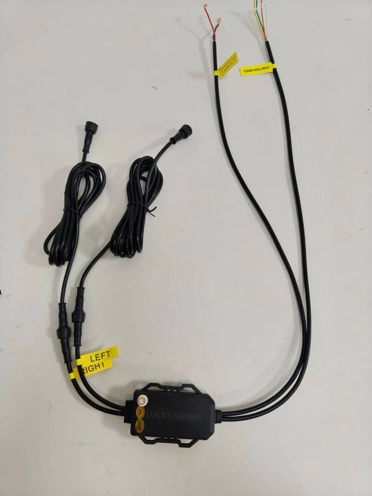 Lucky Whips RGB Module Harness showing multiple colorful wiring connections for custom lighting setups.