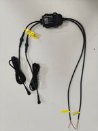 RGB module harness by Lucky Whips showing a flexible, colorful wiring connector for LED lighting setups.