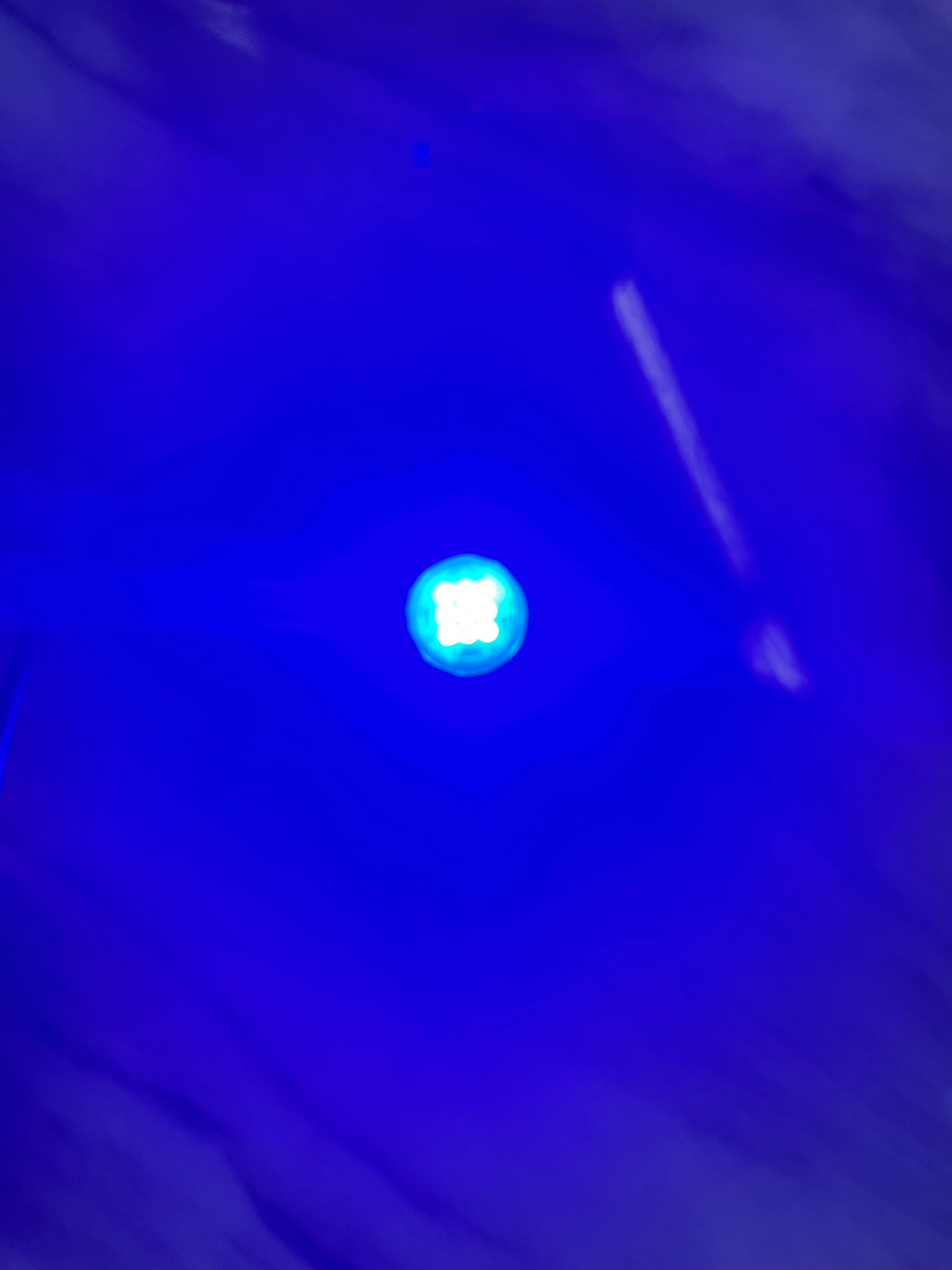 Blue Lucky Whips dome lights illuminating a stylish indoor space with a sleek design and vibrant color.