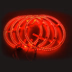 RGB Wheel Ring Lights by Lucky Whips featuring dual wheel design and vibrant color-changing LED rings for automotive or decorative use.